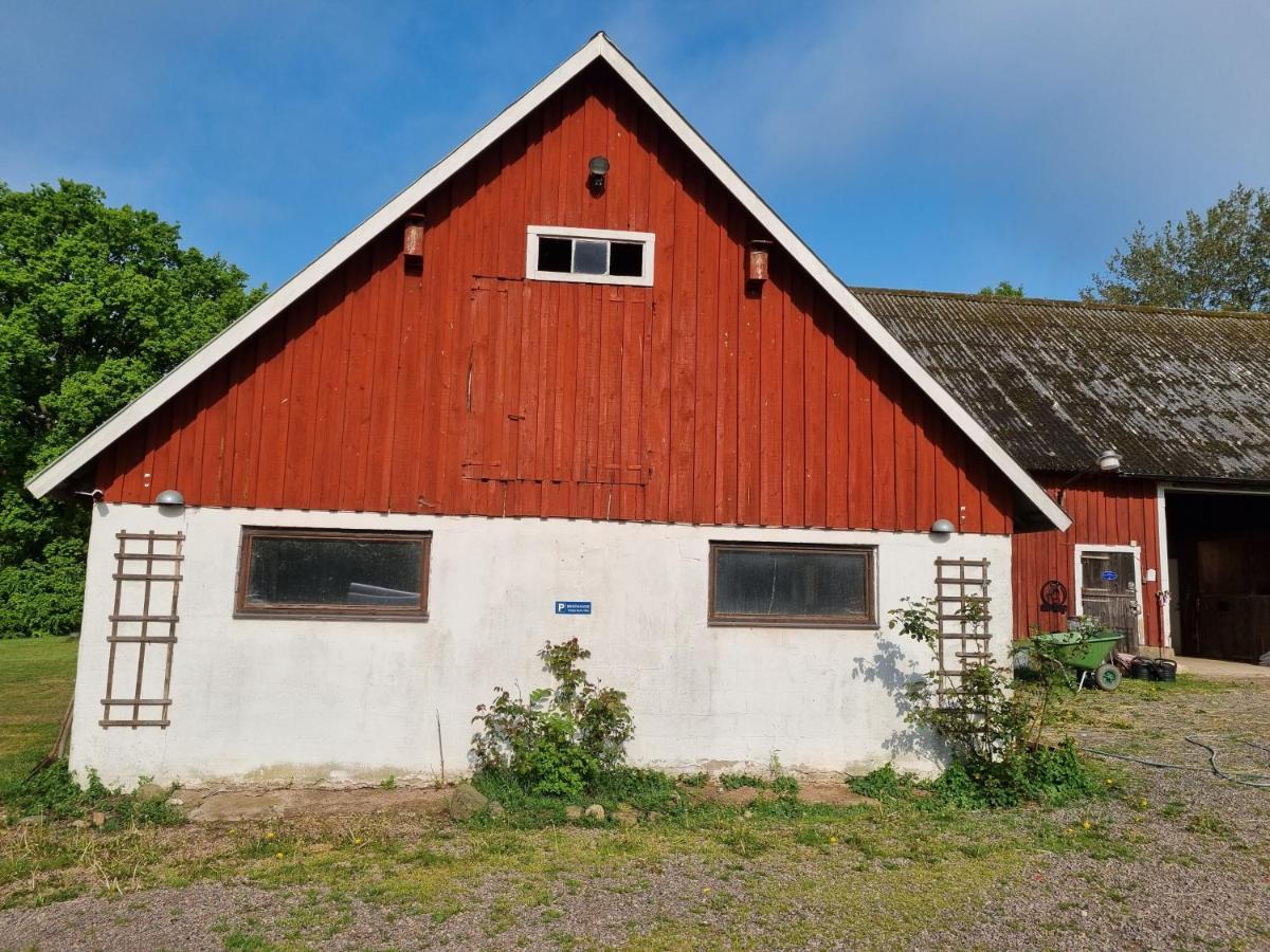 Apartamento Laegenhet Pa Haestgard Ljungbyhed Exterior foto